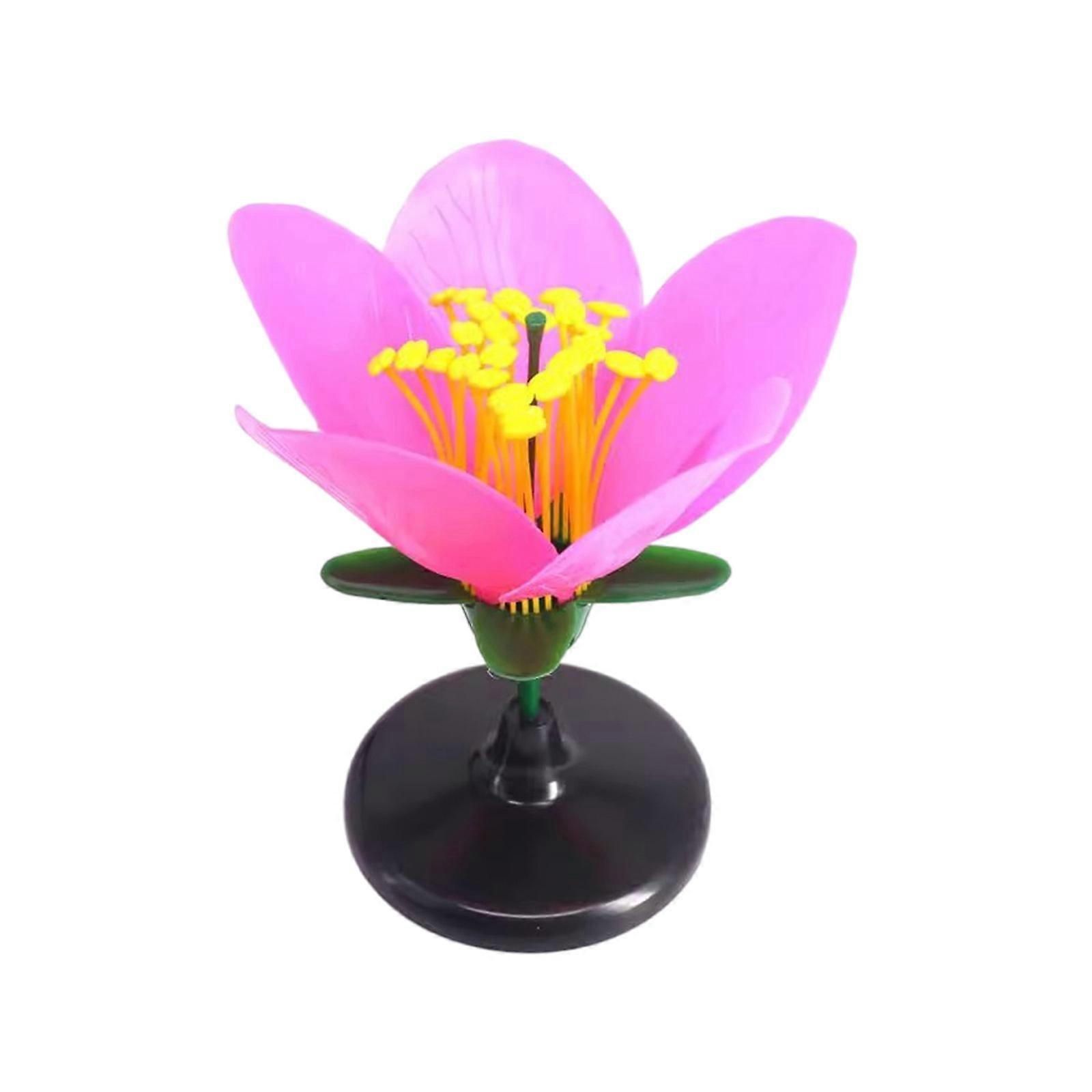 Detailed 3D Dissectible Artificial Blossom Teaching Aid For High School Plant Anatomy Lessons And Science Labs Multicolor