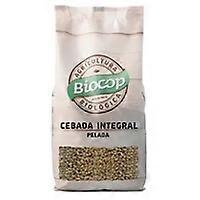 Barley 500 g