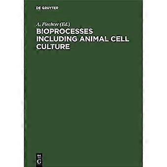 Bioprozesse einschließlich Tierzellkultur