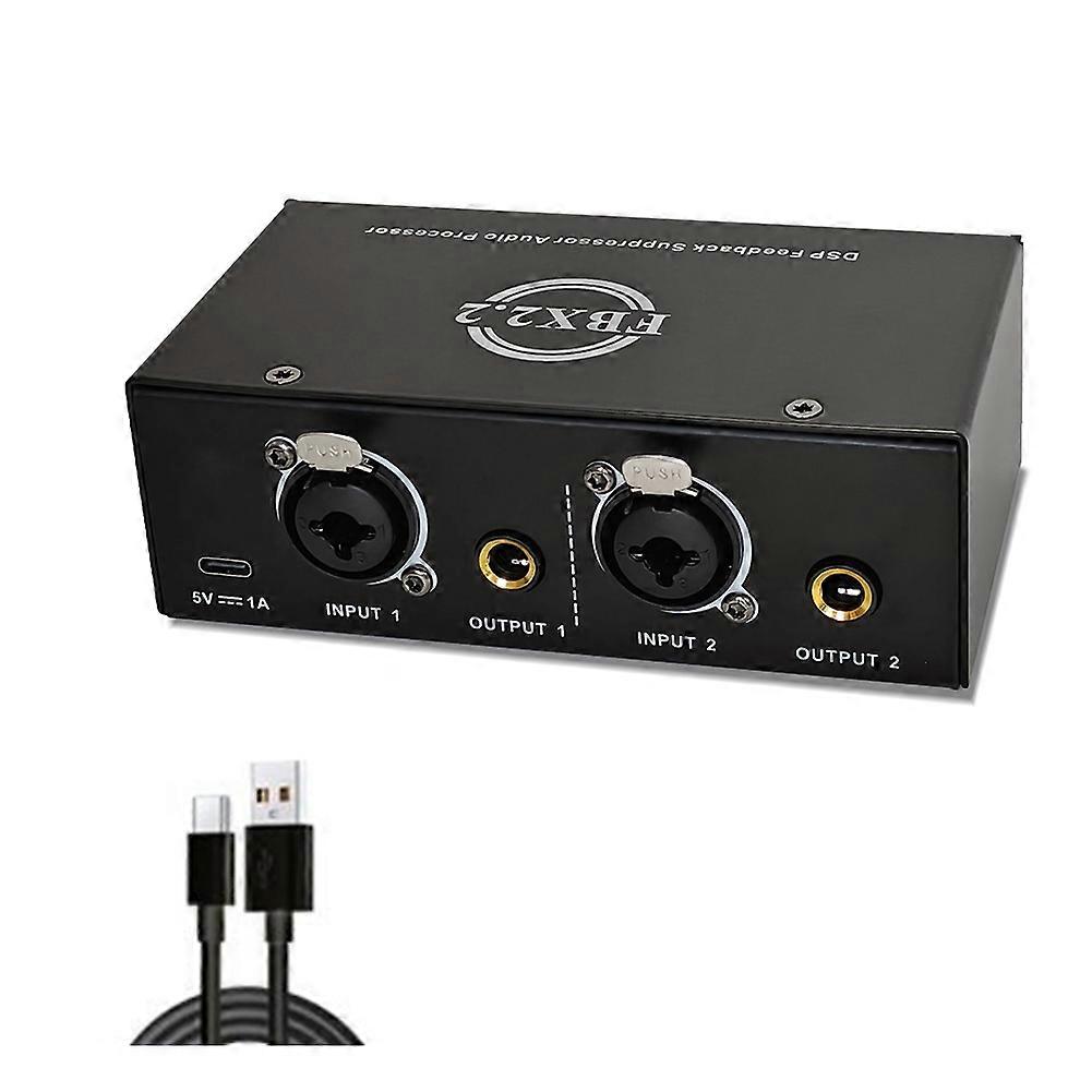 Dual Channels Passive Hum Eliminator Box Fully Automatic Feedback Suppressor for Audio Equipments Only Cable
