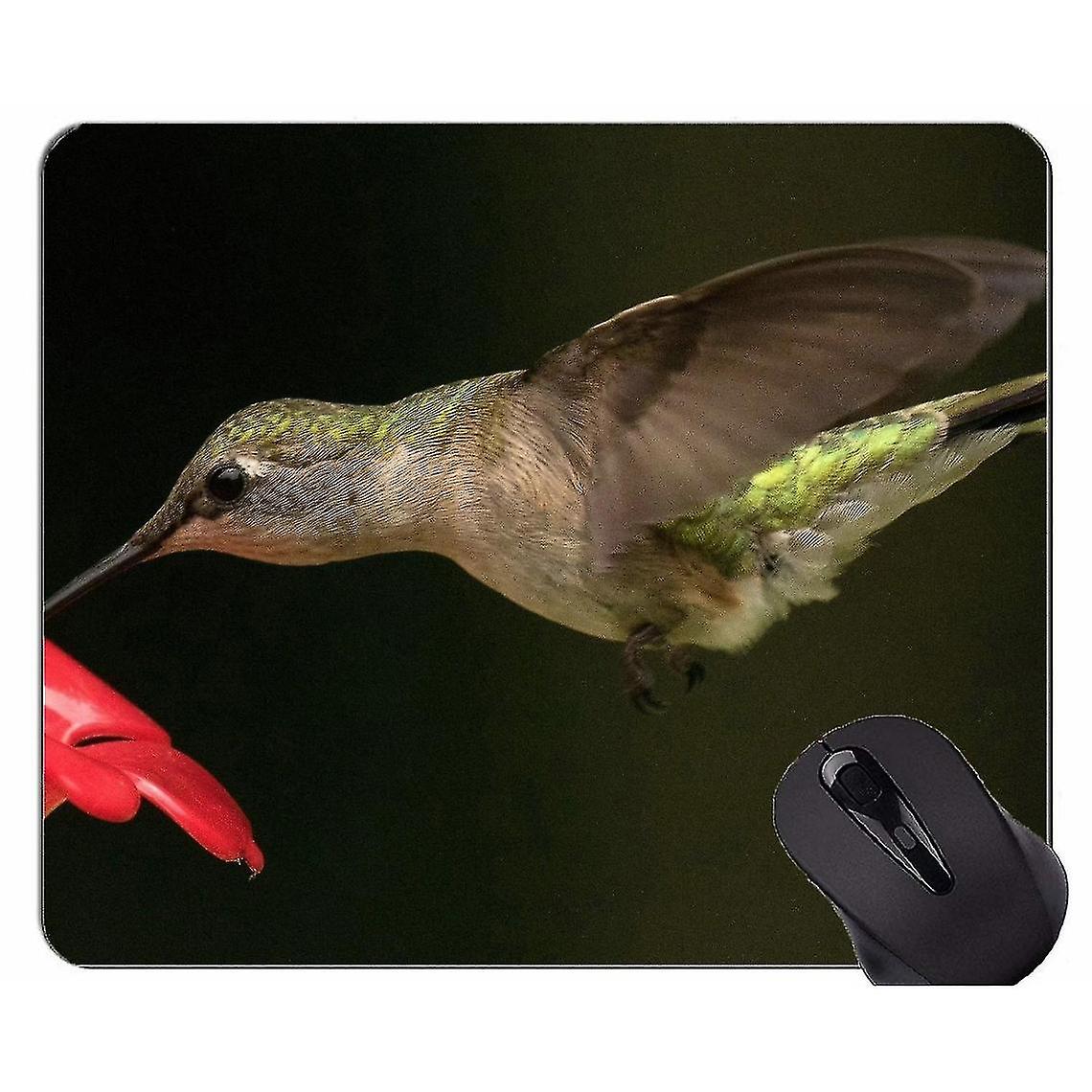 (260x210x3) Custom Mouse Pad Design, Hummingbird Ruby?? Dragonfly Flying Mouse Mat