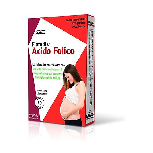 Floradix Folic Acid 60 capsules