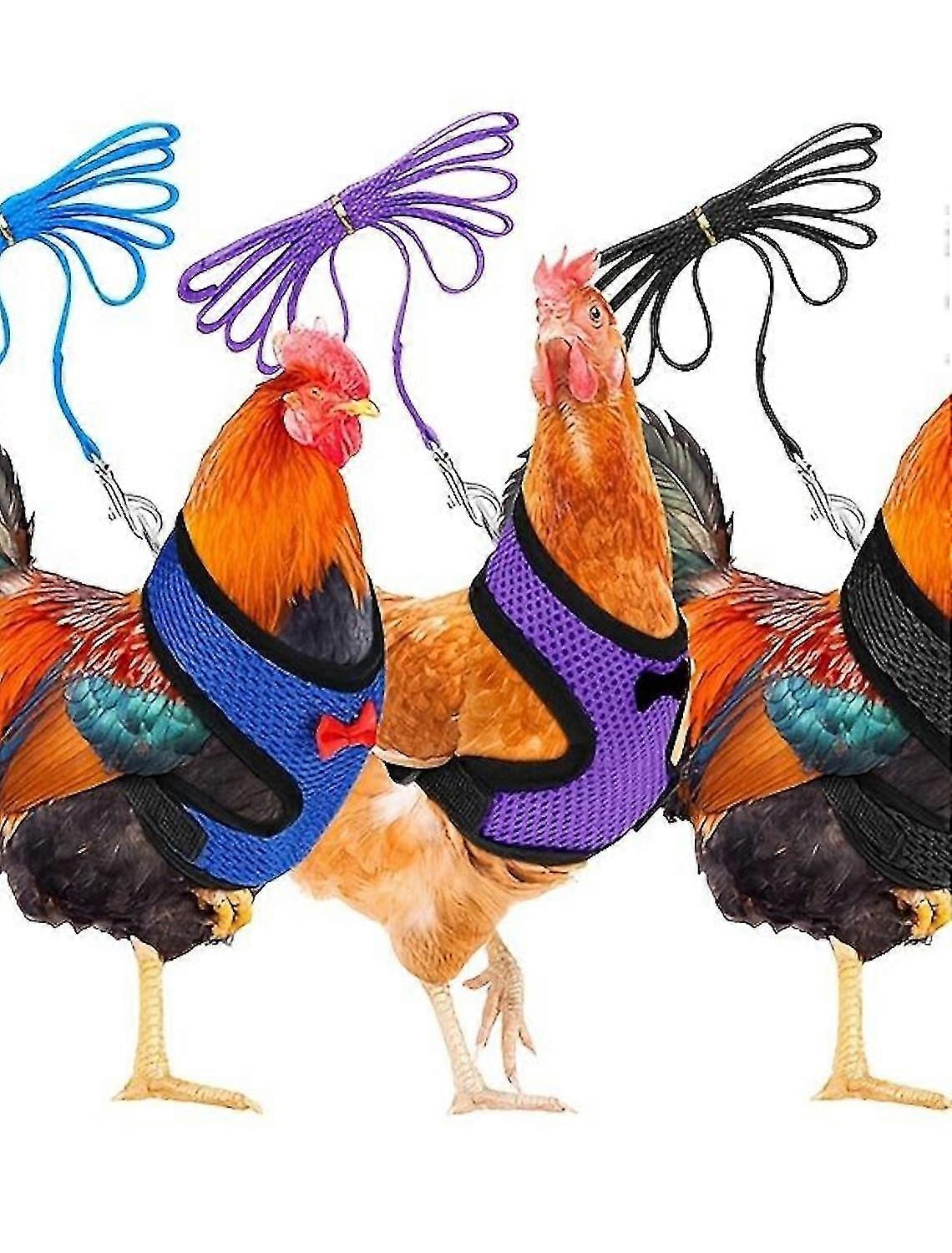 רתמת עוף מתכווננת עם רצועה, אפוד רתמה נושם לברווז & אווז, סט רצועה רתמה לחיות מחמד של 3