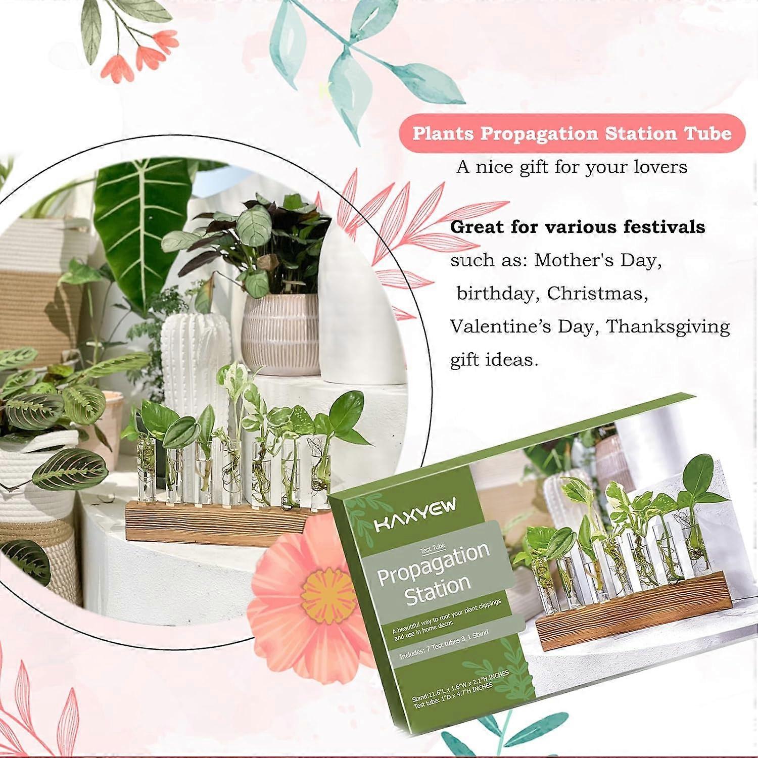 Glass Propagation Station - 3 Bottle Plant Terrarium For Indoor Gardening