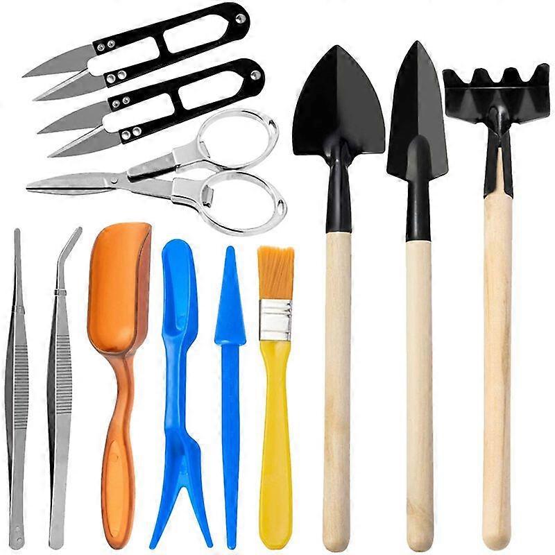 12 Succulent Gardening Tools, Seedling Transplanter Set