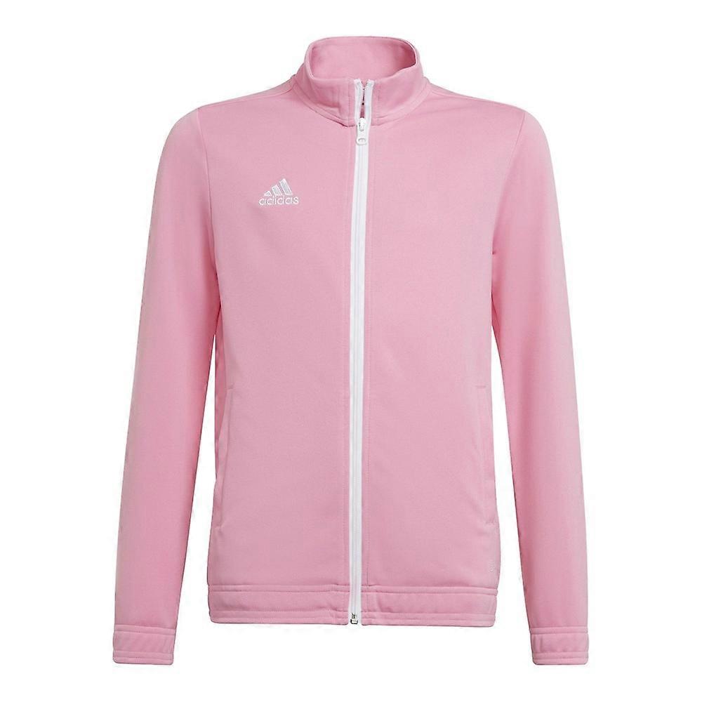 Adidas Entrada 22 HC5035 training all year boy