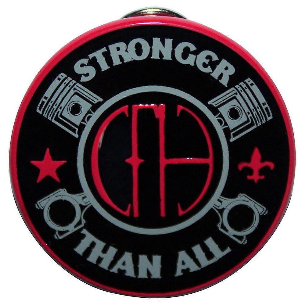 Pantera Stronger Band 标志徽章