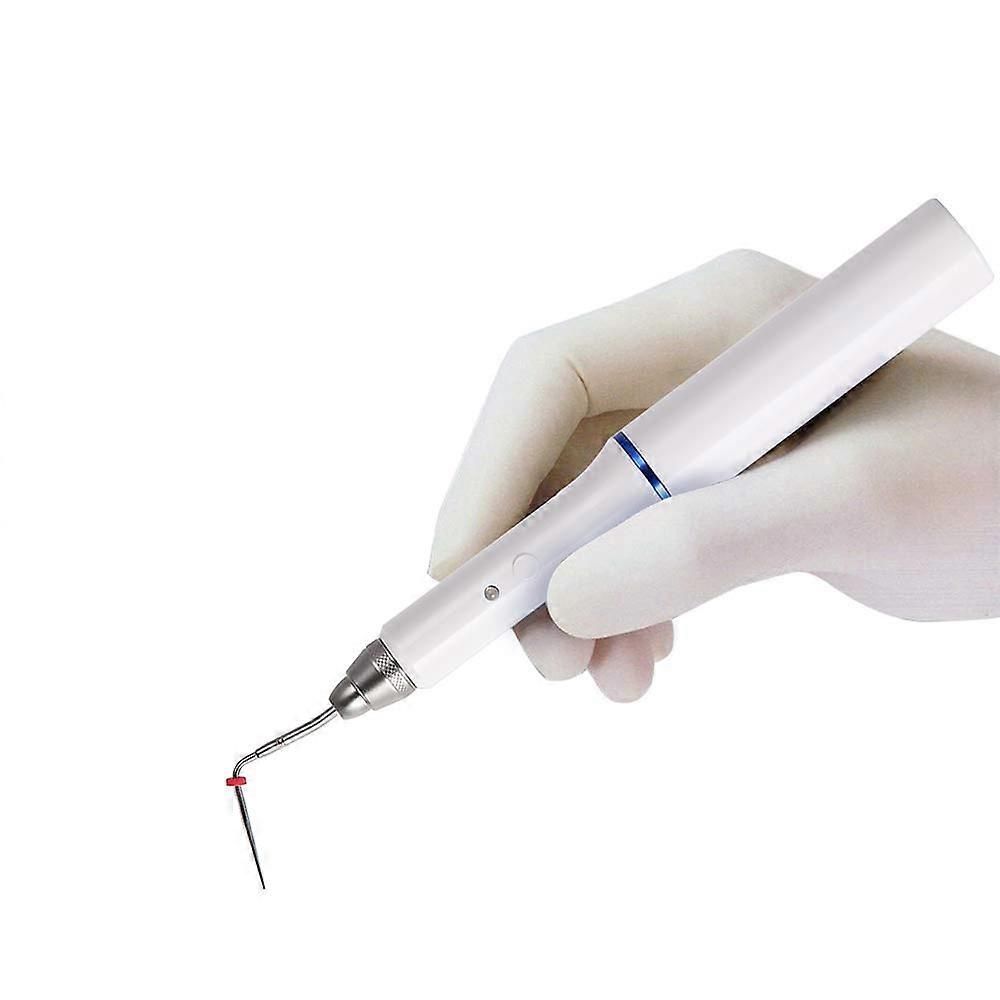 Obturation System Pen Endodontic Heater With 2 Tips Compatible With Gutta Percha Points