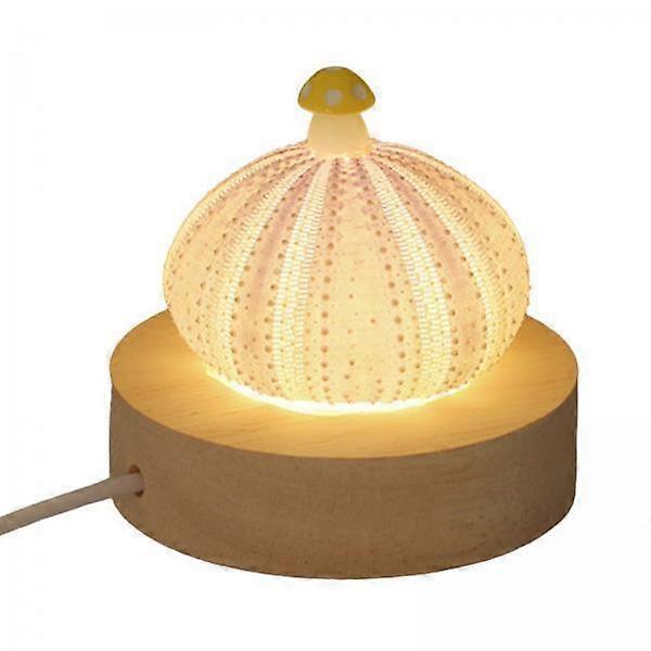 2xDecorative Table Lights Shell with LED Function Birthday Gift Mini Table Lamp 1 Layer USB