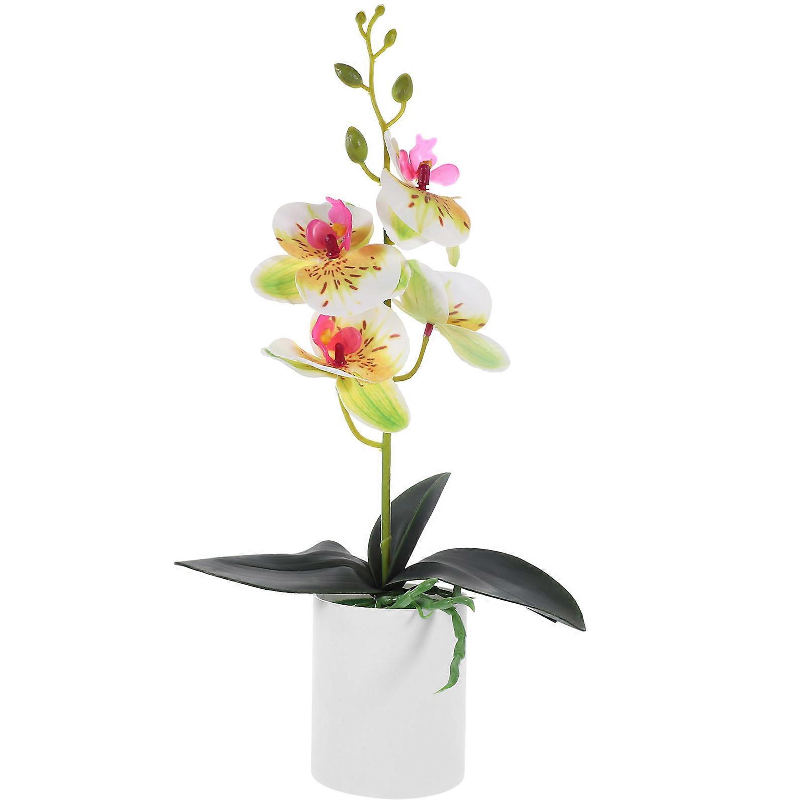 Pottered Flower , Stunning Visual Appeal, Plastic Finish