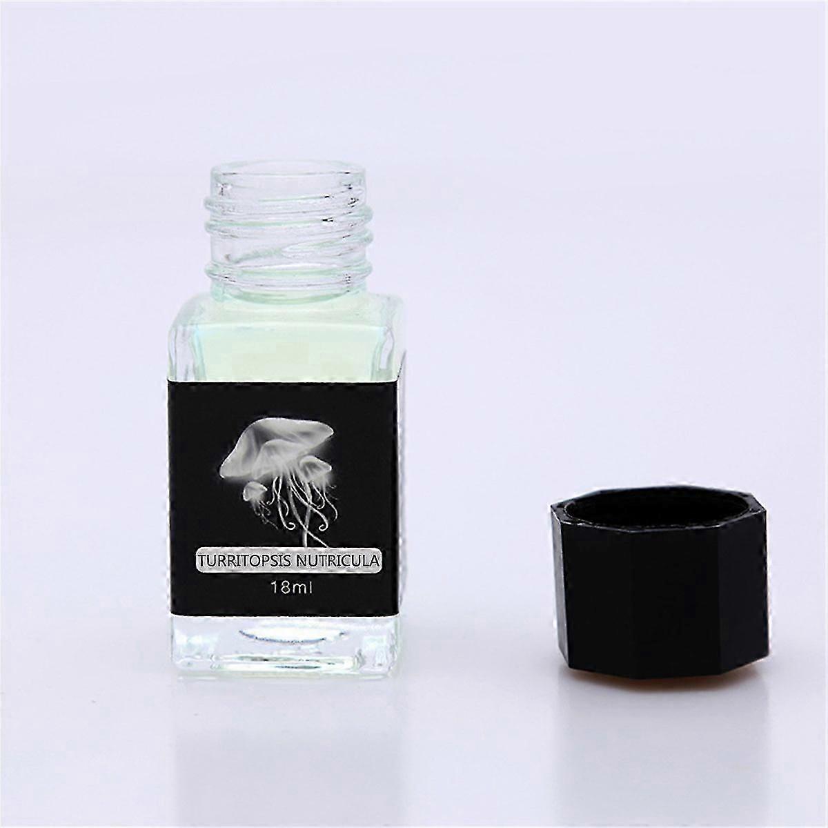 Funny Invisible Ink with UV Light Colored Disappearing Magic Ink 18ml Bottled