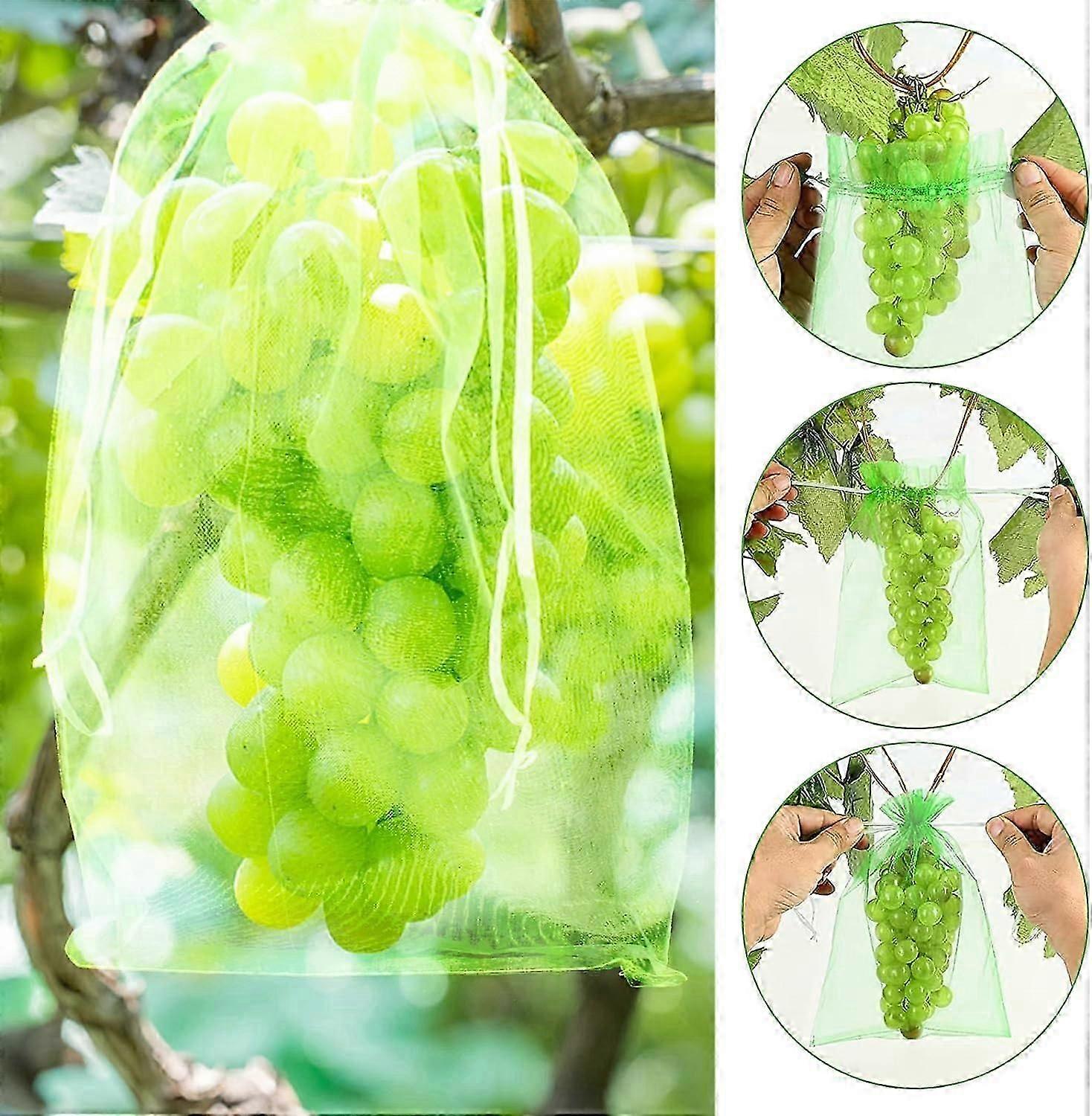 Anti-Bird and Insect Netting Grape Protection Bag, 100Pcs Bunch Protection Bag, 20 x 30 cm , Plant Protection Bags, Organza Bag with Drawstring for Fr