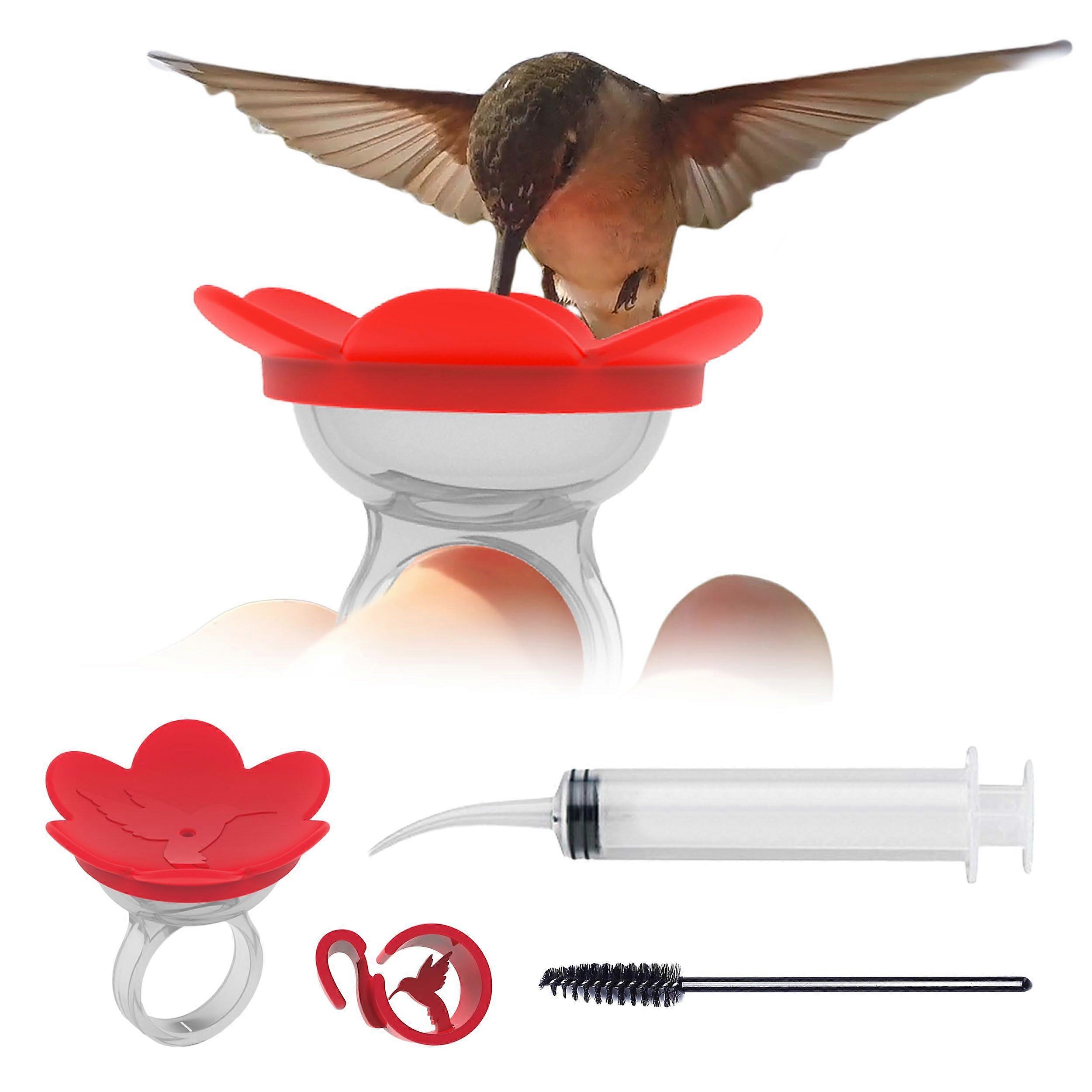 Hummingbird Feeder Ring Starter Kit Red  Hand Feeding Experience for Backyard Bird Lovers