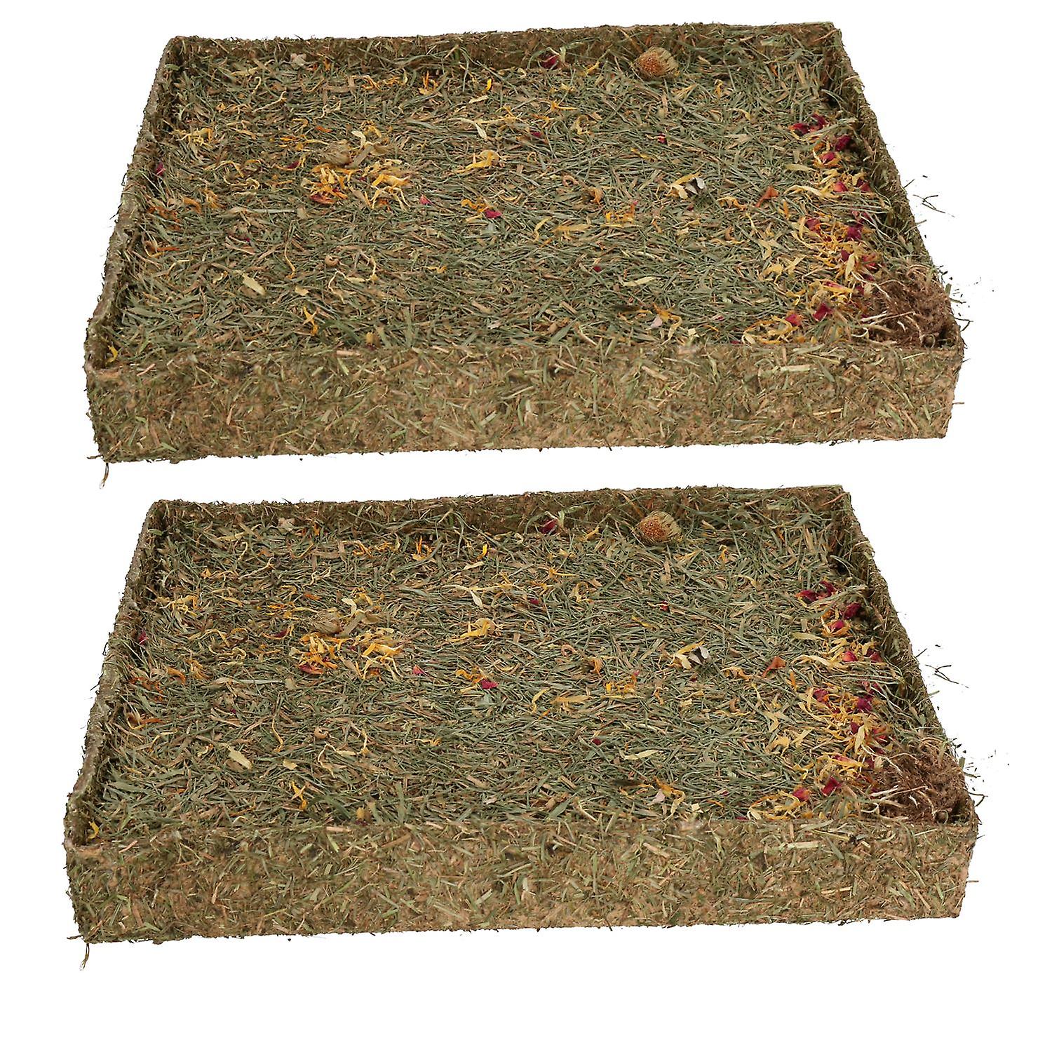 Small Animal Pet Treat Rabbit Guinea Pig Nibble 'N' Dig Meadow