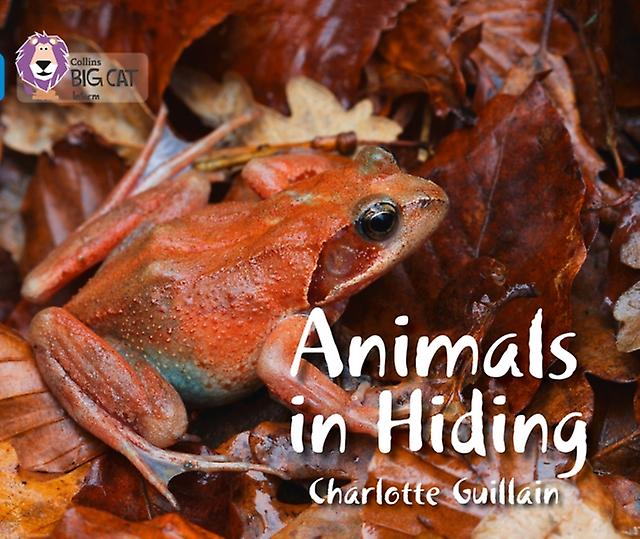 Animals In Hiding by Charlotte Guillain Paperback