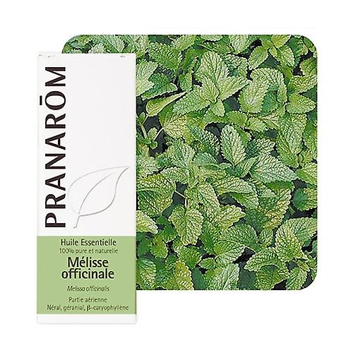 Lemon balm Essential Oil 5 ml of essential oil
