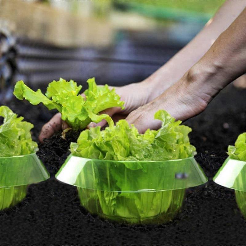 Vegetable Protective Cover Snail Block Circular Thickened Commercial Seed Protective Cover Beautiful Agricultural Protection Green Transparent FLYE242