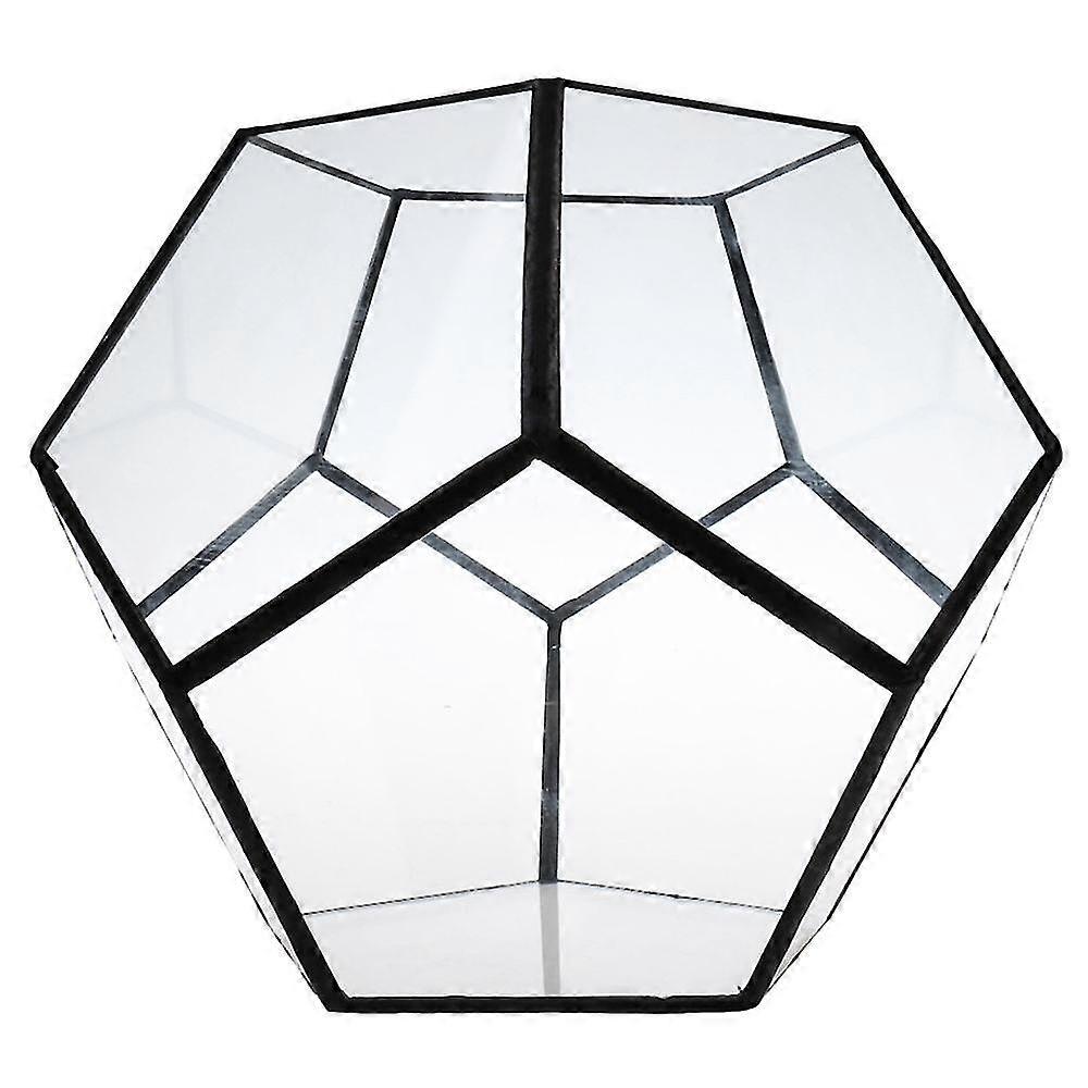 Plant Terrarium Box