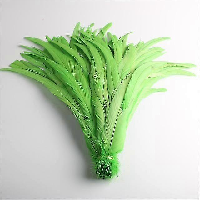 50pcs φυσικά φτερά ουράς κοτόπουλου 25 -40cm το /10 -16inch κόκορας σκηνικών επιδόσεων διακόσμησης ενδυμάτων