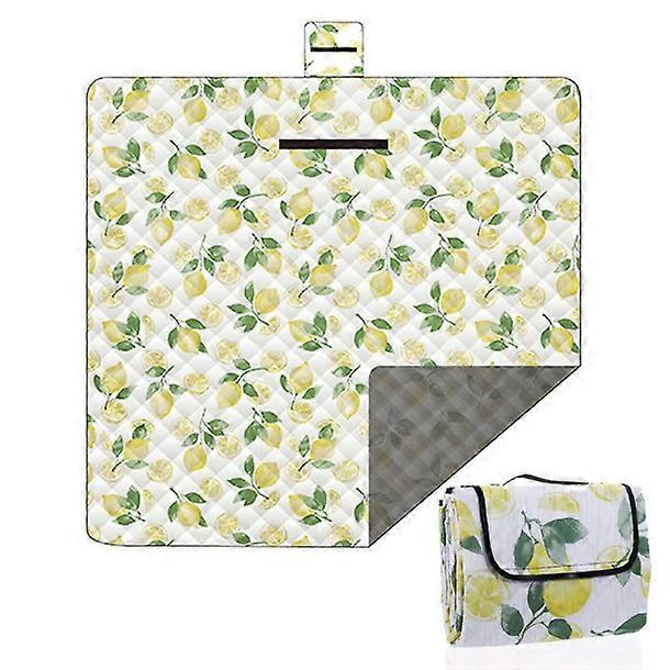 بطانية نزهة كبيرة جدا 79 × 79 بوصة - حصيرة قابلة للطي للسفر ، الشاطئ ، الرياضة ، التخييم في الحديقة ، المشي لمسافات طويلة ،