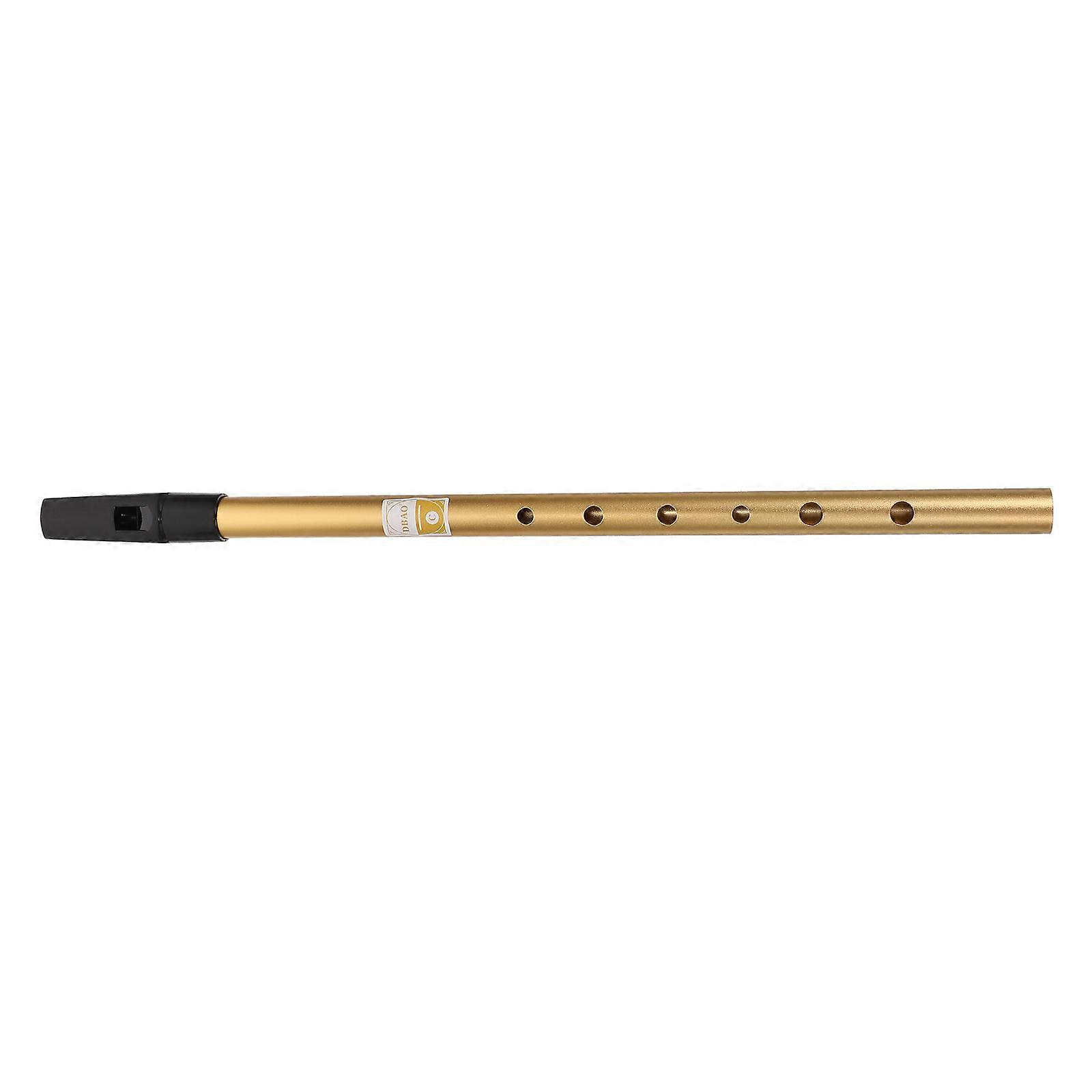 Portable C Key Soprano Recorder Flute – Gold Tone, Polished Finish, Comfortable Mouthpiece, Easy to Play & Tune for Music Lovers