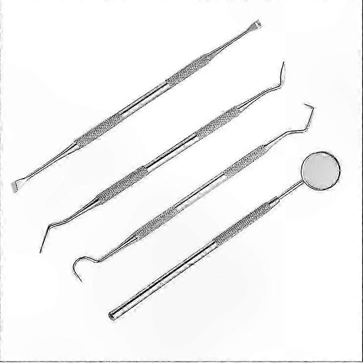 プロのツールで歯石を除去するための4ピースデンタルケアキット