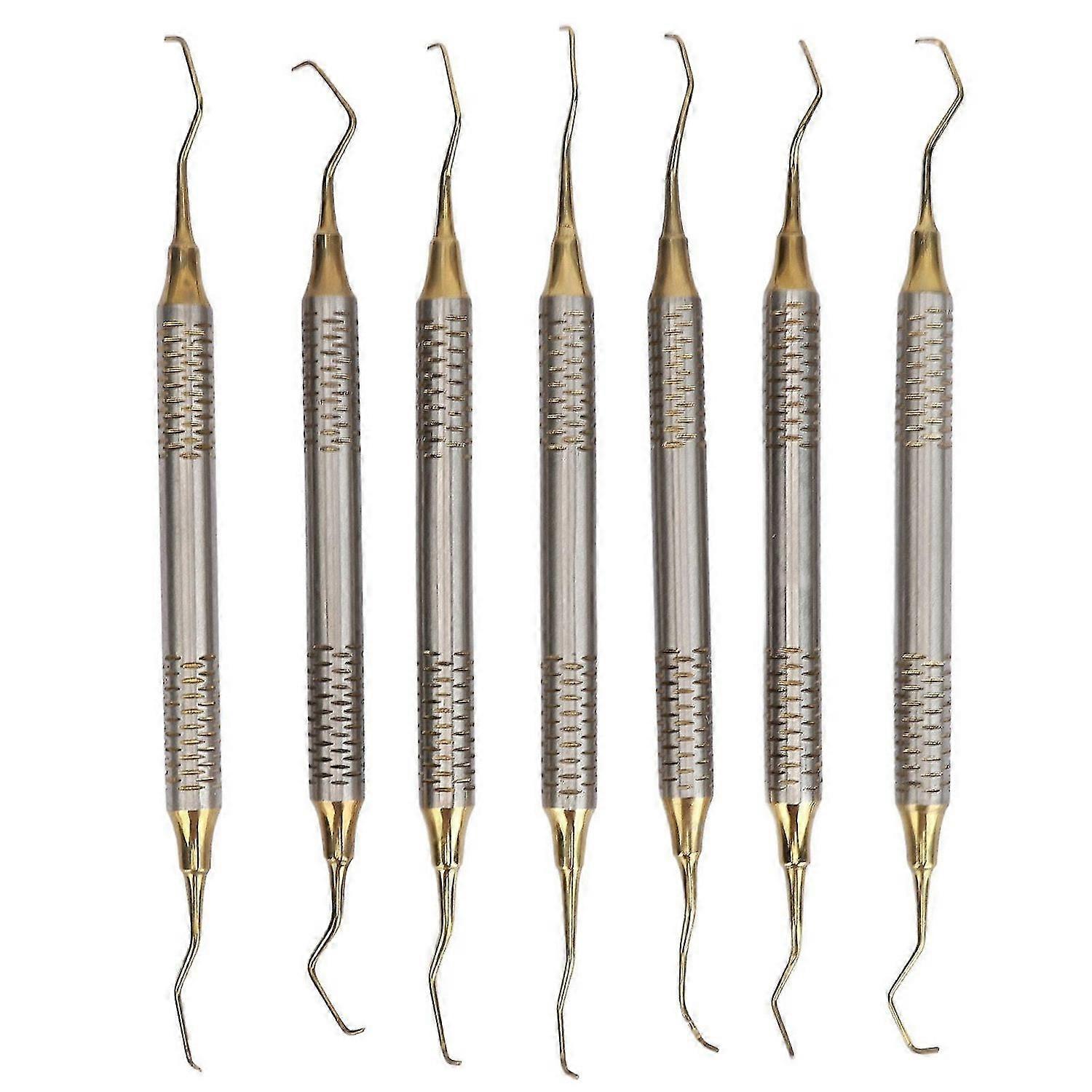 2025 Latest Model 7 Pieces Teeth Plaque Remover Kit Multiple Shapes Metal Clea...
