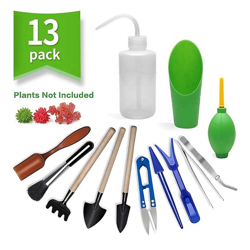 13pcs Mini Garden Tools Set - For Transplanting Succulent Plants