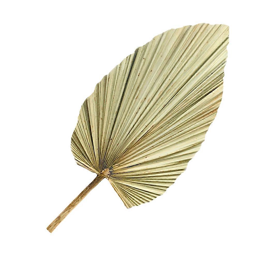 Natural Palm Leaf Dried Green Leaf Decor for Home 1Pcs