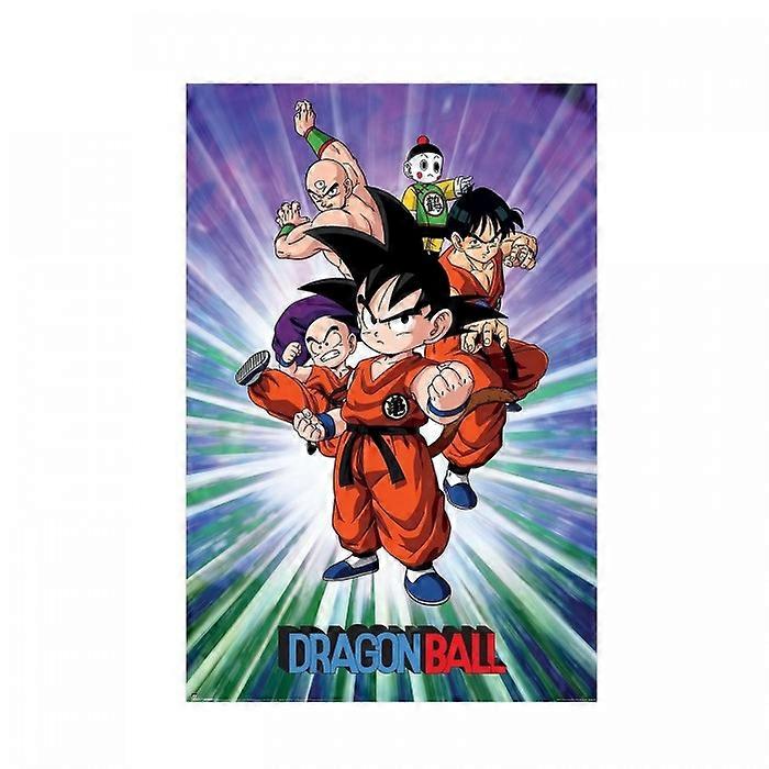 Dragon Ball Group Printed Poster