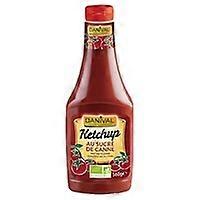 Ketchup Bio 560 g