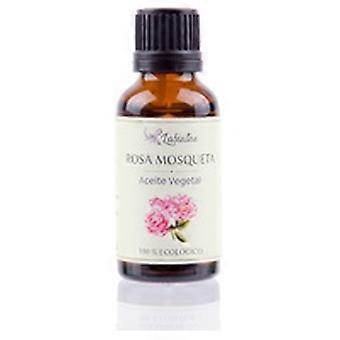 Organic Rosehip Oil 30 ml of oil