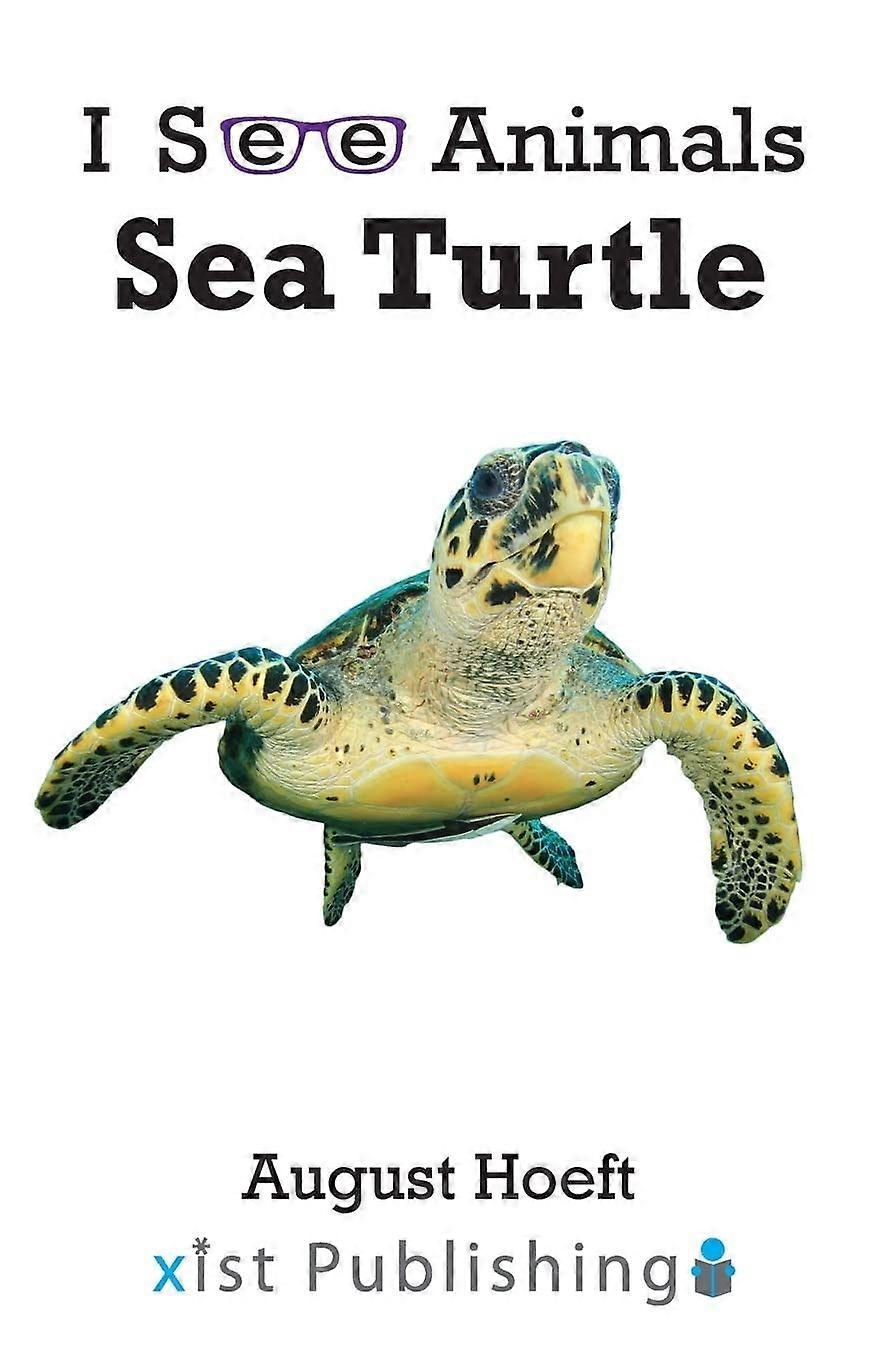 Sea turtle