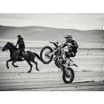 Black And White Motorbike Horse Desert Racing jigsaw puzzle SIO398