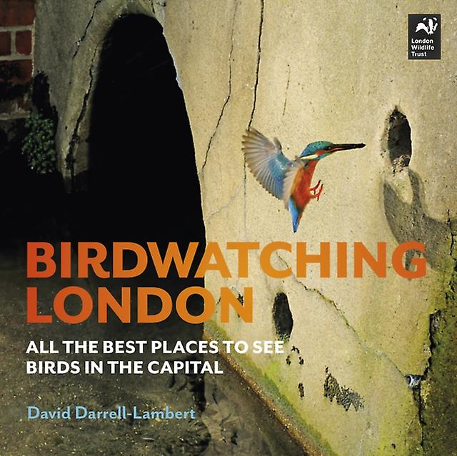 Birdwatching London by David DarrellLambert Paperback Book