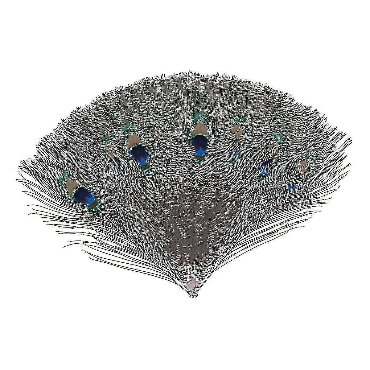 Natural Large Peacock Feathers For Decoration