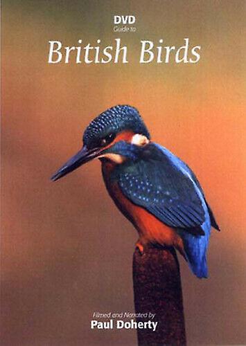 British Birds DVD (2010) Paul Docherty cert E 3 discs - Region 2