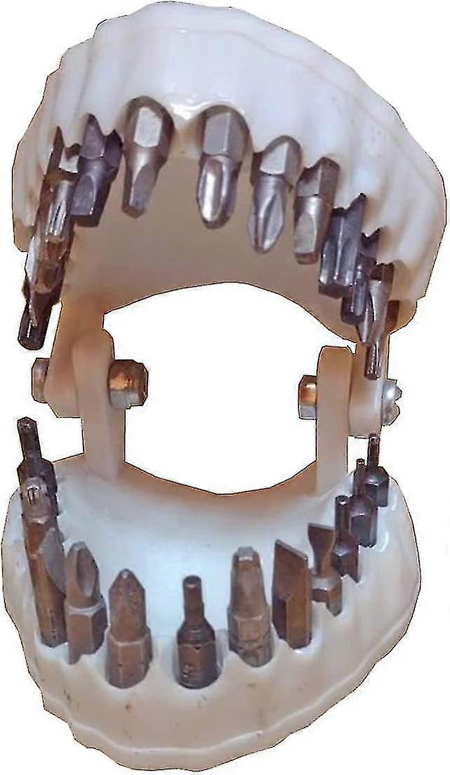 New Improved Denture Drill Holder Tooth Model1/4"hex Drill Bit Rack And Screwdriver Bit Adapter(white With Bit)
