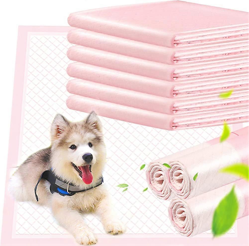 Thickened Pet Training Pads,10-Count Ultra Absorbent Dog Puppy Training Pads