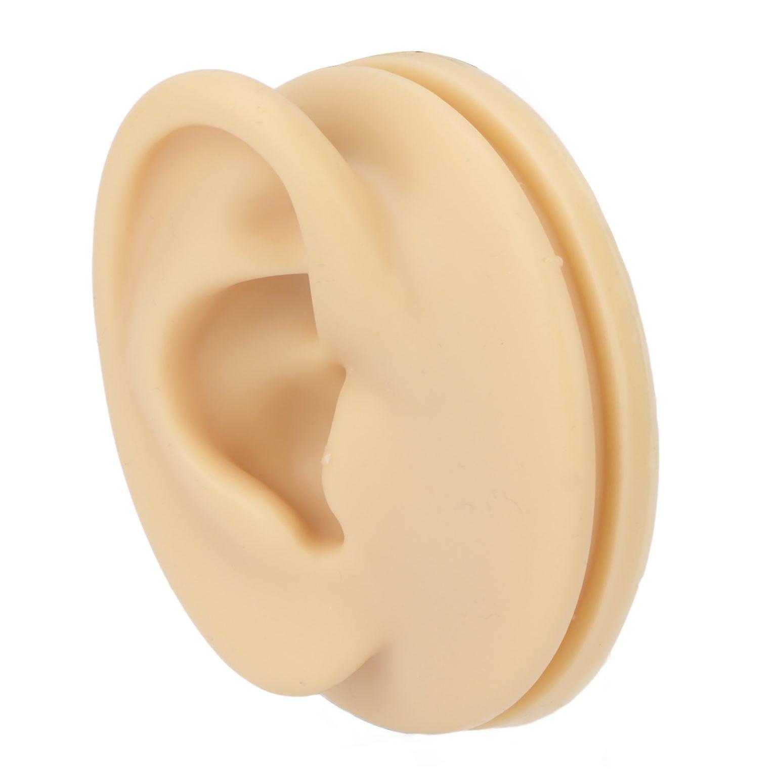 Human Right Ear Silicone Model