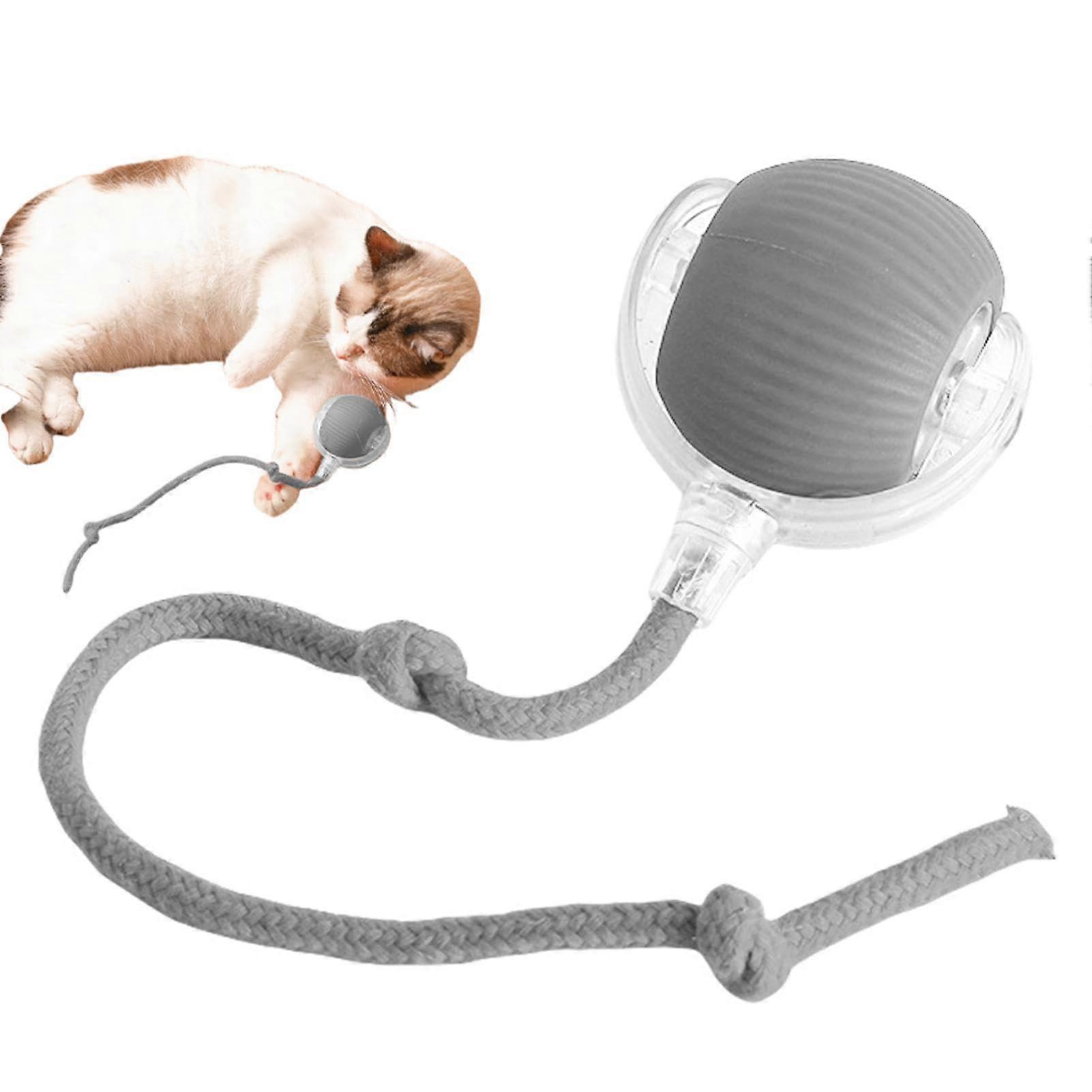 Automatic Rolling Intelligence Cat Toy Ball for Cats, Dogs gray