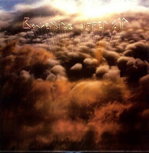 Bowerbirds - Upper Air  [VINYL LP] USA import