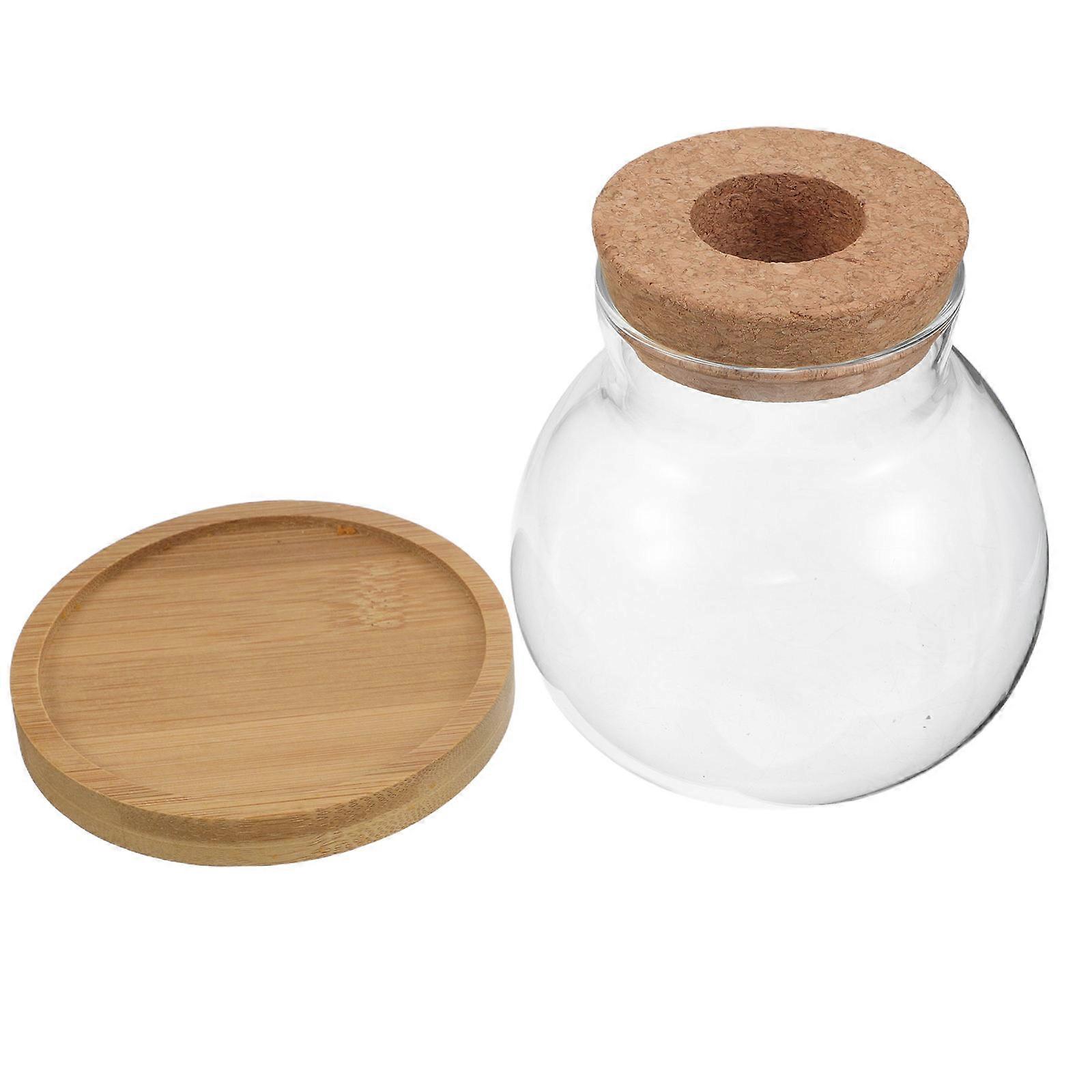 Desktop Planter Tabletop Plant Propagation Station for 10Sets Hydroponic Use