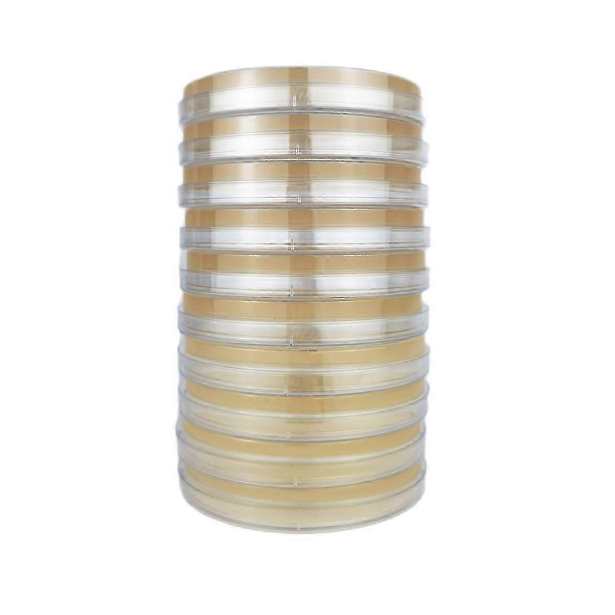 Bacterial petri dish for science experiments with agar