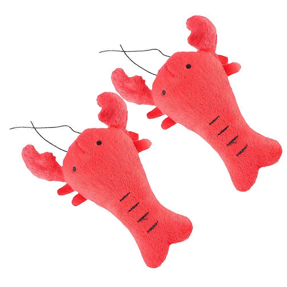 Squeaky Toy for Chewing 2Pcs Plush Interactive Toy