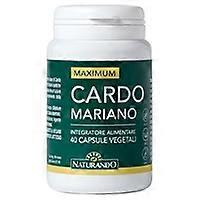 Maximum milk thistle 40 vegetable capsules