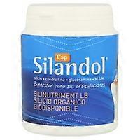 Silandol 120 capsules