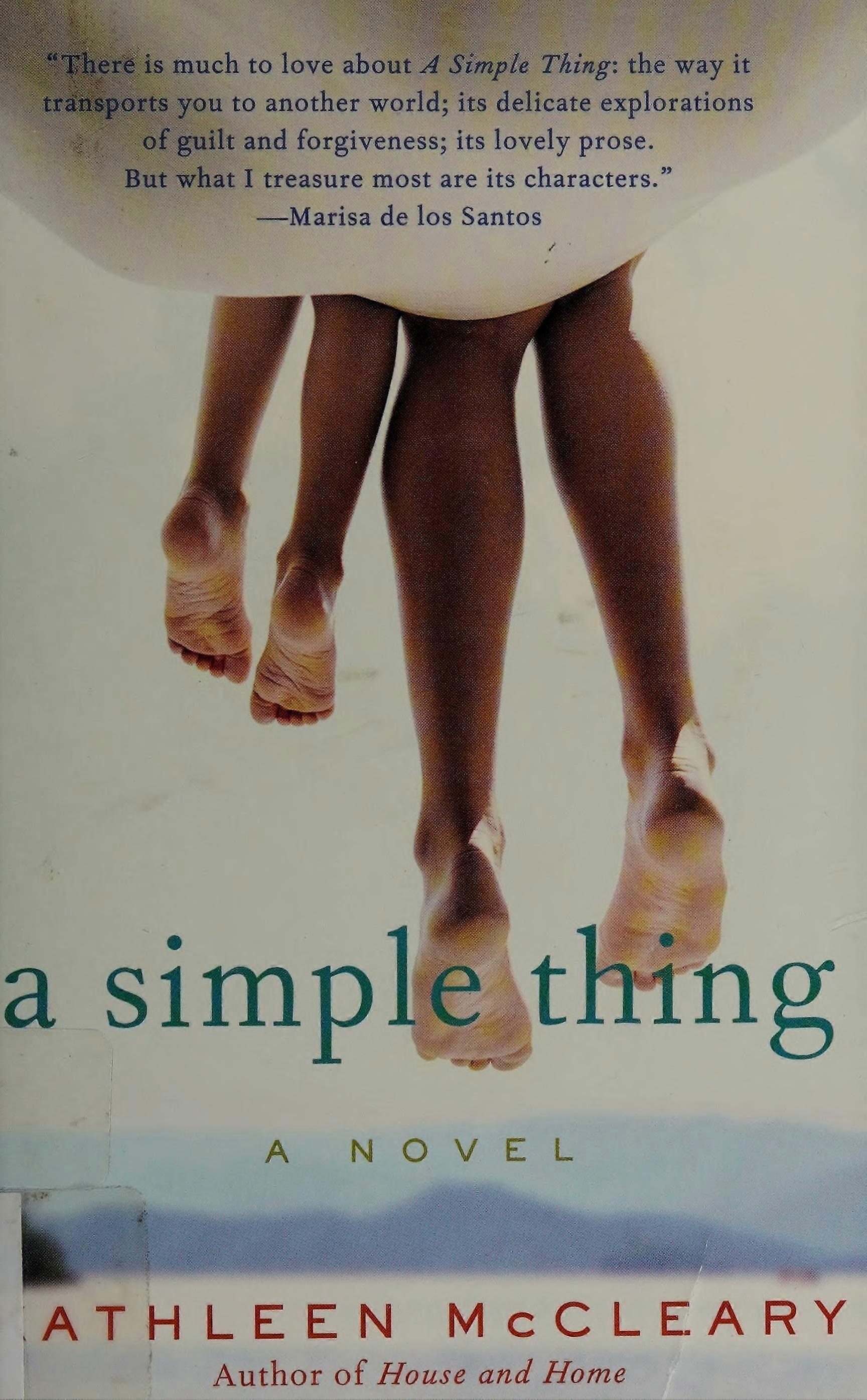 A simple thing a novel