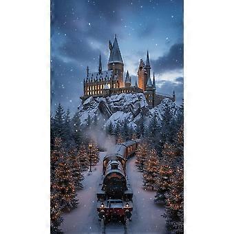 Winter Snow at Hogwarts and the Express Train jigsaw puzzle game for adults and kids SX-333