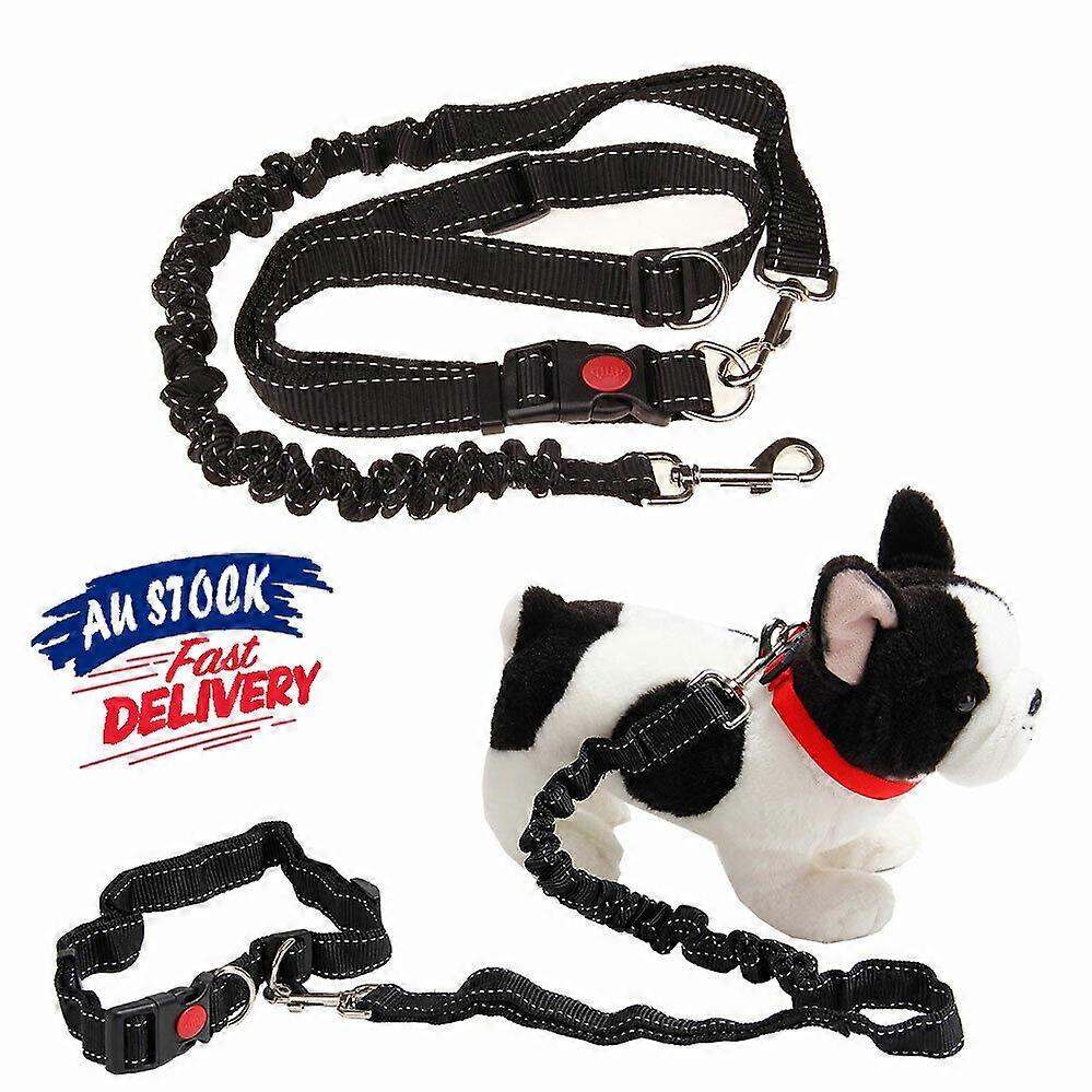 Adjustable Lead Leash Running Pet Waist Belt Dog Jogging Elastic Walk Hands Free